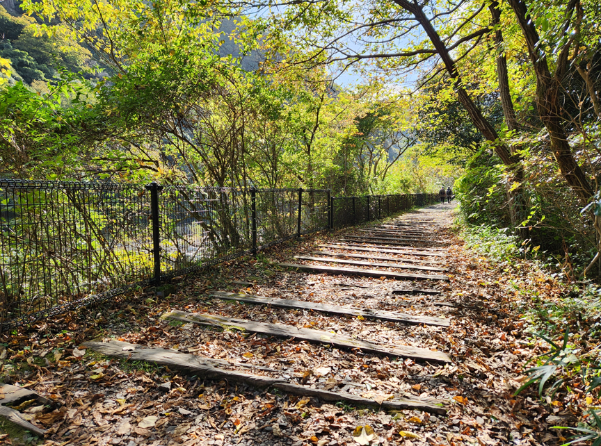 福知山線廃線跡に残る枕木と緑のトンネル